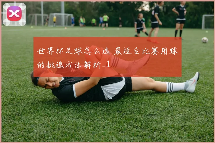 世界杯足球怎么选 最适合比赛用球的挑选方法解析_1