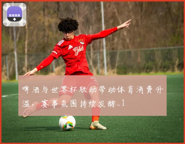 啤酒与世界杯联动带动体育消费升温,赛事氛围持续发酵_1